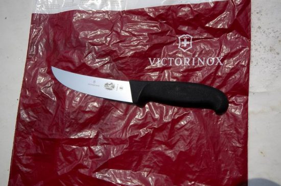 VICTORINOX - pisau melapah kulit