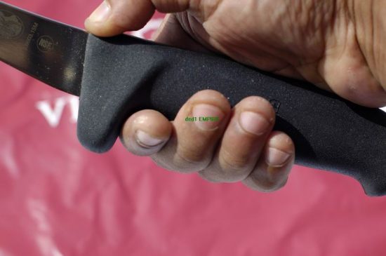 pisau lapah daging Victorinox (hulu unik)
