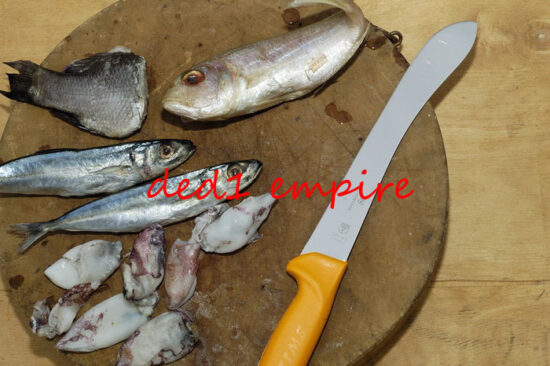 SWIBO - Victorinox - pisau daging lekuk 8 inci