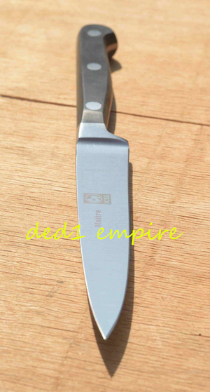 ICEL - pisau kecil TEMPA 4 inci (PORTUGAL)
