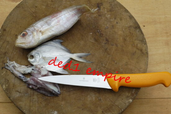 SWIBO - victorinox - pisau daging / sembelih 5 inci